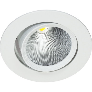 Easyform Pride Downlight ställbar, 360°/ 20°